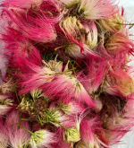 Mimosa Flower Jelly